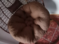 2бр голяма кръгла възглавница ПУФ Плюш Легло за куче , снимка 2