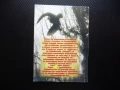 Лов на прелетен дивеч Николай Русков пъдпъдък горски бекас куче ловец пушка ловджия, снимка 4