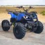 Eлектрическо ATV MaxMotors Grizzly 1500W blue, снимка 1