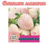 100 семена от плод бяла ягода органични плодови ягодови семена от вкусни ягоди отлични плодове с мно, снимка 2