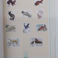 Колекция пощенски марки от СССР, събрани в оригинално албумче, снимка 5 - Филателия - 45379787