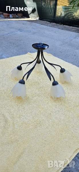 Полилей с пет крушки, снимка 1