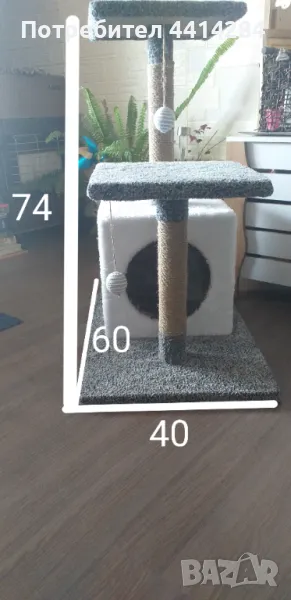 Котешка катерушка, снимка 1