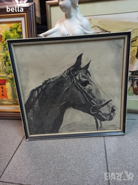 Рамкирана картина рисунка-глава на кон ,подписана, снимка 1
