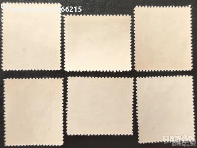 България, 1967 г. - пълна серия чисти марки, котки, 5*6, снимка 2 - Филателия - 50652685