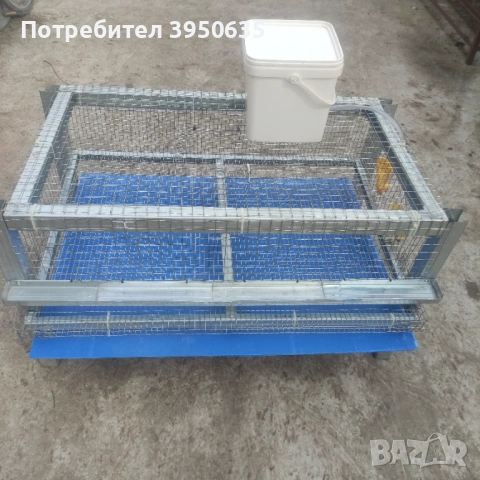 Пъдпъдъци , снимка 3 - други­ - 53696198