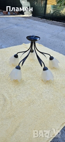 Полилей с пет крушки