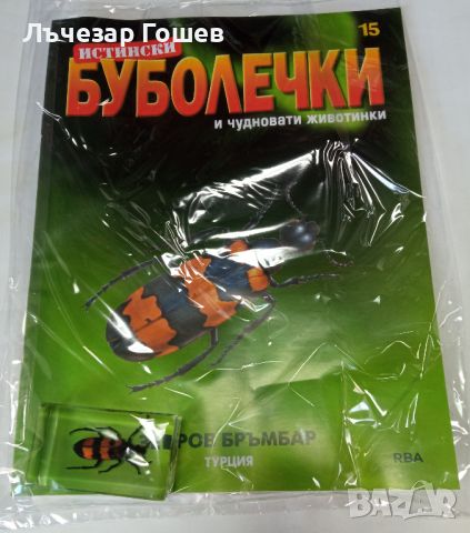  	Истински буболечки БРОЙ 15 - ЗЕБРОВ БРЪМБАР , снимка 1 - Списания и комикси - 46753160