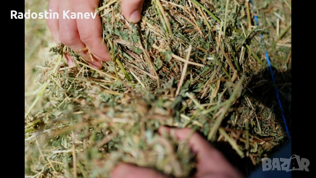 Бали люцерна , снимка 2 - За селскостопански - 53067825