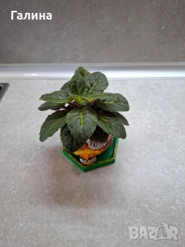 Декоративна саксийка с теменужка, снимка 2 - Саксии и кашпи - 51661743