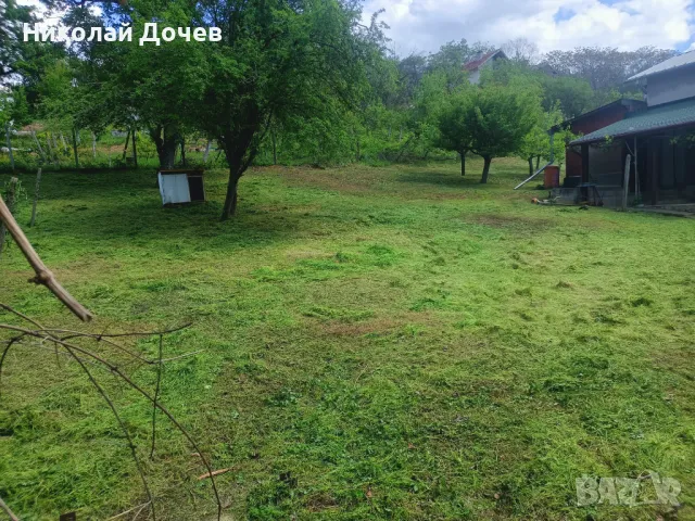 Рязане  на опасни дарвета и подръжка на парцели със профисионална техника, снимка 13 - Други почистващи услуги - 48378732