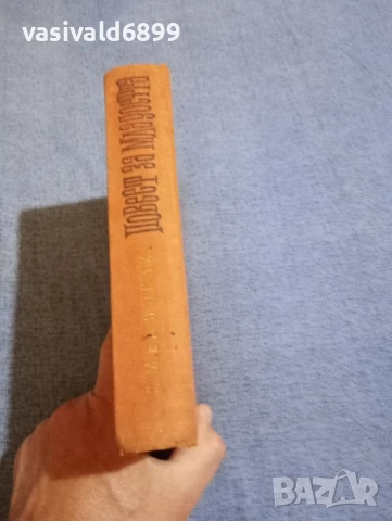 Медински - Повест за младостта , снимка 3 - Художествена литература - 50823415