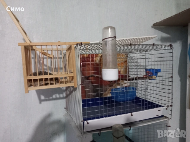 клетки да птици, снимка 5 - За птици - 53770682