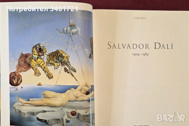Дали - живот, вдъхновение и произведения / Dalí, снимка 3 - Енциклопедии, справочници - 53748714