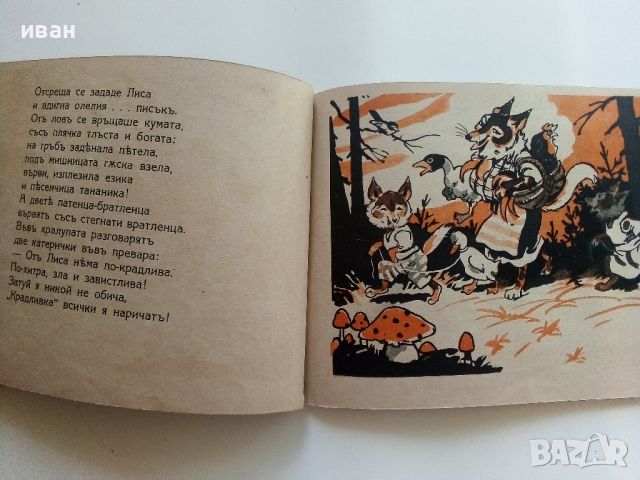 Въ горския градъ - Приказки въ картинки - Веса Паспалеева - 1943г., снимка 8 - Детски книжки - 46465461