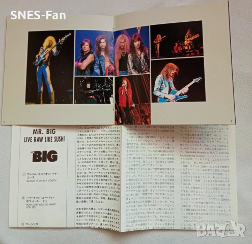 Mr.Big - Live! Raw Like Sushi, снимка 3 - CD дискове - 52011739