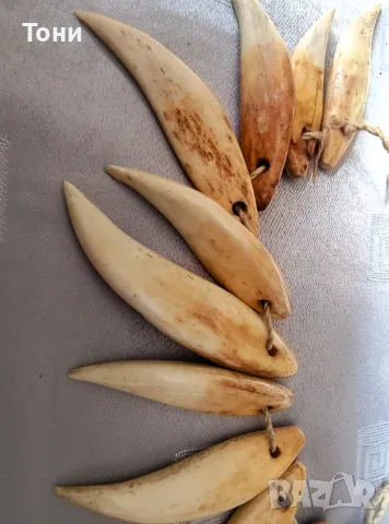 Колие от китов зъб, острови Фиджи ,Wasekaseka, снимка 10 - Колиета, медальони, синджири - 50163007