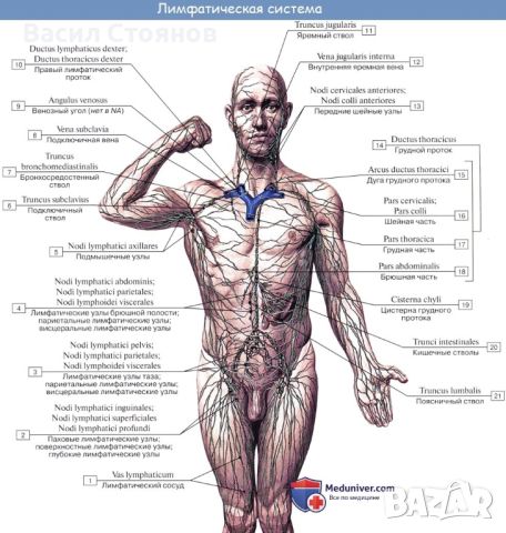 Курс „фитнес инструктор“, снимка 4 - Спорт, танци, изкуство - 46403572