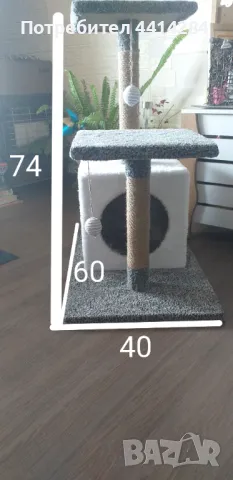 Котешка катерушка, снимка 1