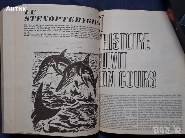 Стар Френски Комикс RAHAN N'4 / 1972 год., снимка 5 - Колекции - 53413814