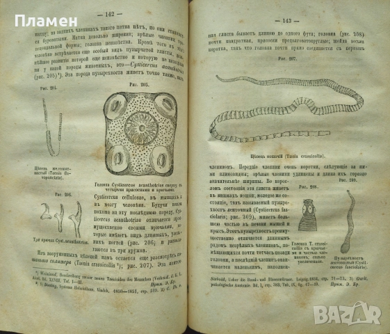 Животньiе паразитьi и болезни Э. К. Брандтъ /1873/, снимка 6 - Антикварни и старинни предмети - 53188537