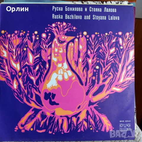 Нови грамофонни плочи с народна музика 17, снимка 10 - Грамофонни плочи - 53444583