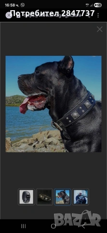 Кожена каишка за голямо куче, снимка 4 - За кучета - 53166022