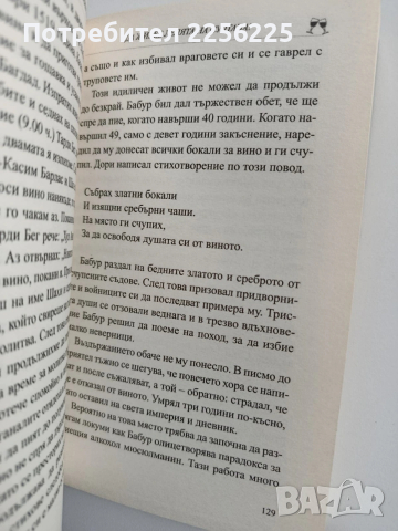 Кратка история на пиянството, снимка 3 - Художествена литература - 53372777