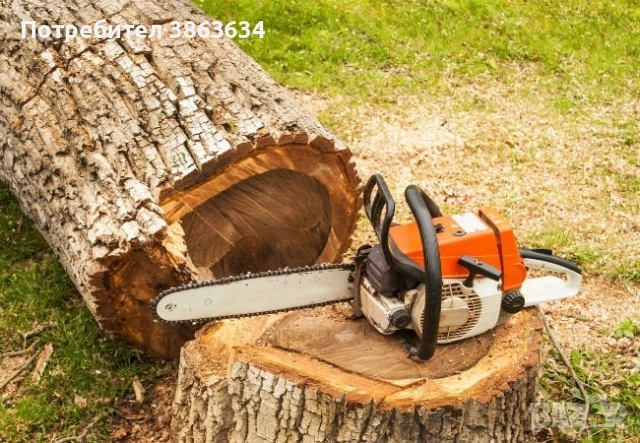 Млади момчета - Режат високи дървета - Почистване от трева и др.