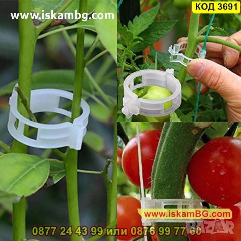 50 броя клипс за поддържане на домати и други растения - КОД 3691, снимка 1 - Други - 45340535