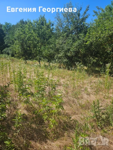 Къща с.Засмяно, снимка 6 - Къщи - 50984842