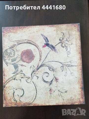 Картина и рамки за картини,снимки,сертификати и др.3 бр.