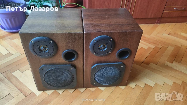 Ръчно изработени тонколони 2X30 W