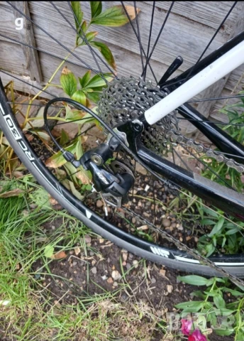 Pearson , снимка 10 - Велосипеди - 50983019