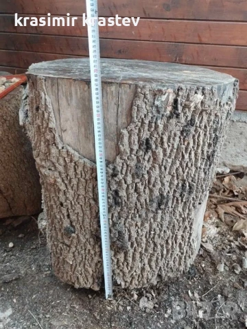 продавам пънове, дървени дънери, снимка 4 - Декорация за дома - 50477499