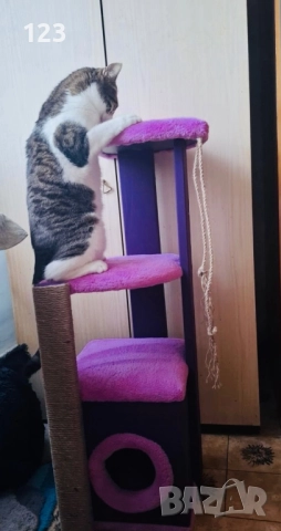 Катерушка, снимка 5 - За котки - 51620604