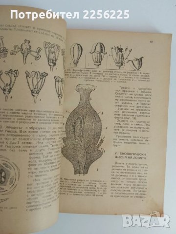 Ръководство по лозарство 1948г, снимка 3 - Специализирана литература - 51112806