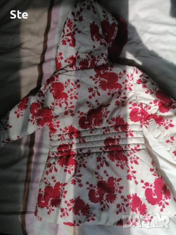 Зимно яке за момиче 5-6г, снимка 2 - Детски якета и елеци - 54155704