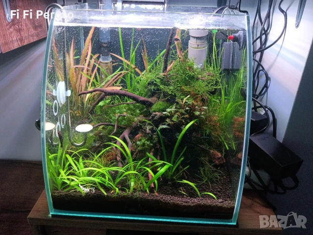 amtra wave box vision 30 + филтър amtra niagara 190, снимка 2 - Аквариуми - 52964436