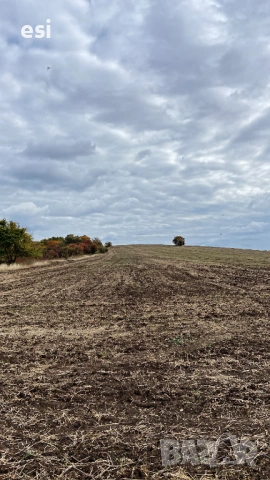 Земя с гарантиран доход 51 €/дка – инвестиция с 5% годишна доходност