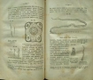 Животньiе паразитьi и болезни Э. К. Брандтъ /1873/, снимка 6