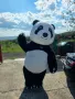 🎉ИЗНЕНАДА с Мече Панда в гр. Бургас!🐼🐾, снимка 4