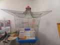 голяма клетка за птици, снимка 5