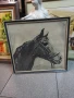 Рамкирана картина рисунка-глава на кон ,подписана, снимка 1