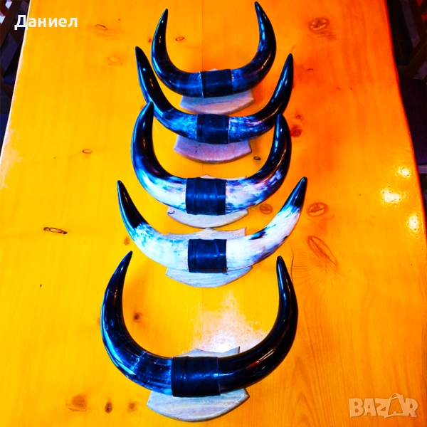 Декорация от рога на воден бивол, снимка 1