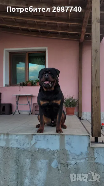 Razplod, снимка 1