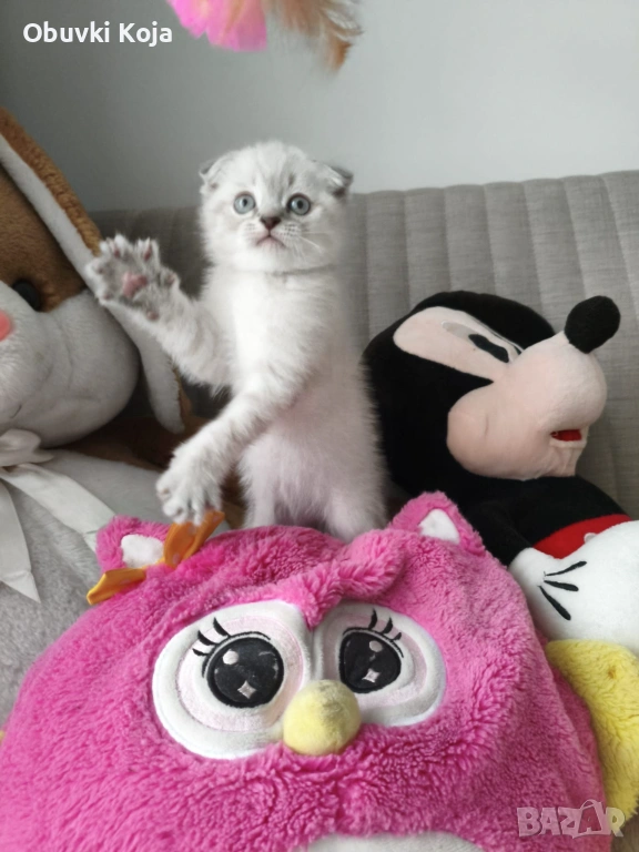 Не е красив просто е уникален свикнало с малко детенце страхотен подарък за вашите любими , снимка 1