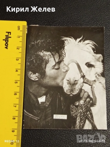 Стара рядка снимка картичка на ПОП ИКОНАТА Michael Jackson рядка за КОЛЕКЦИЯ 51168, снимка 8 - Колекции - 52143676