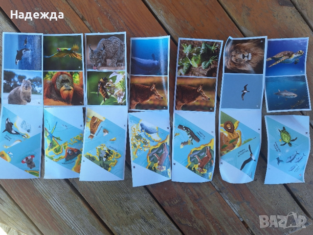 БИЛА Стикери - Невероятните животни по света, снимка 4 - Колекции - 54173365