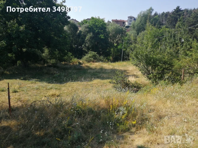 Продава ЗЕМЕДЕЛСКА ЗЕМЯ, гр. Велинград, област Пазарджик, снимка 4 - Земеделска земя - 50982583